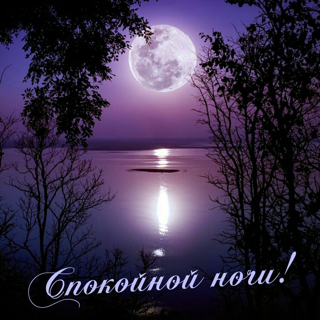 1660600153_2-kartinkin-net-p-otkritki-spokoinoi-nochi-s-prirodoi-2.jpg