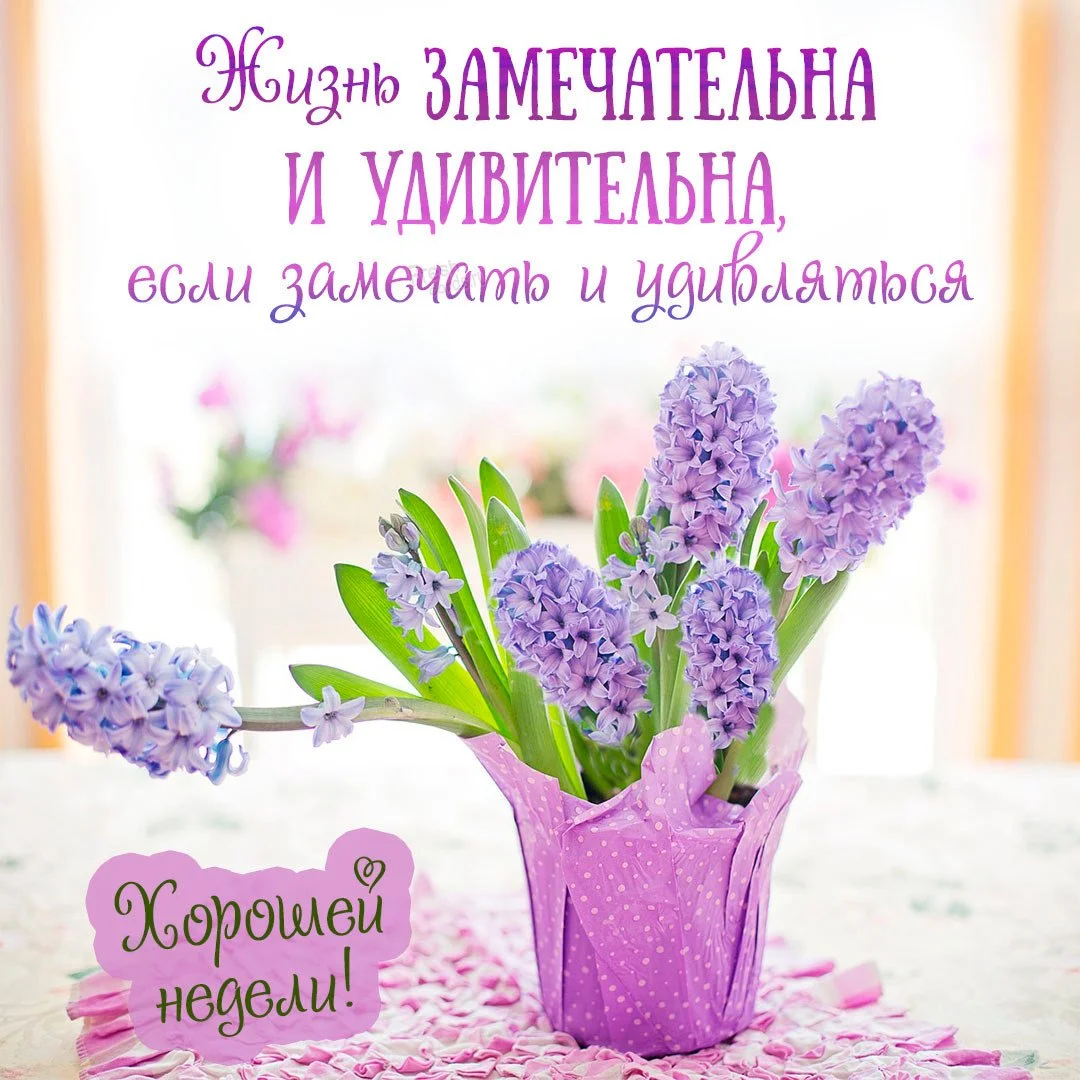1663305056_29-mykaleidoscope-ru-p-otkritki-khoroshei-nedeli-vkontakte-30.webp