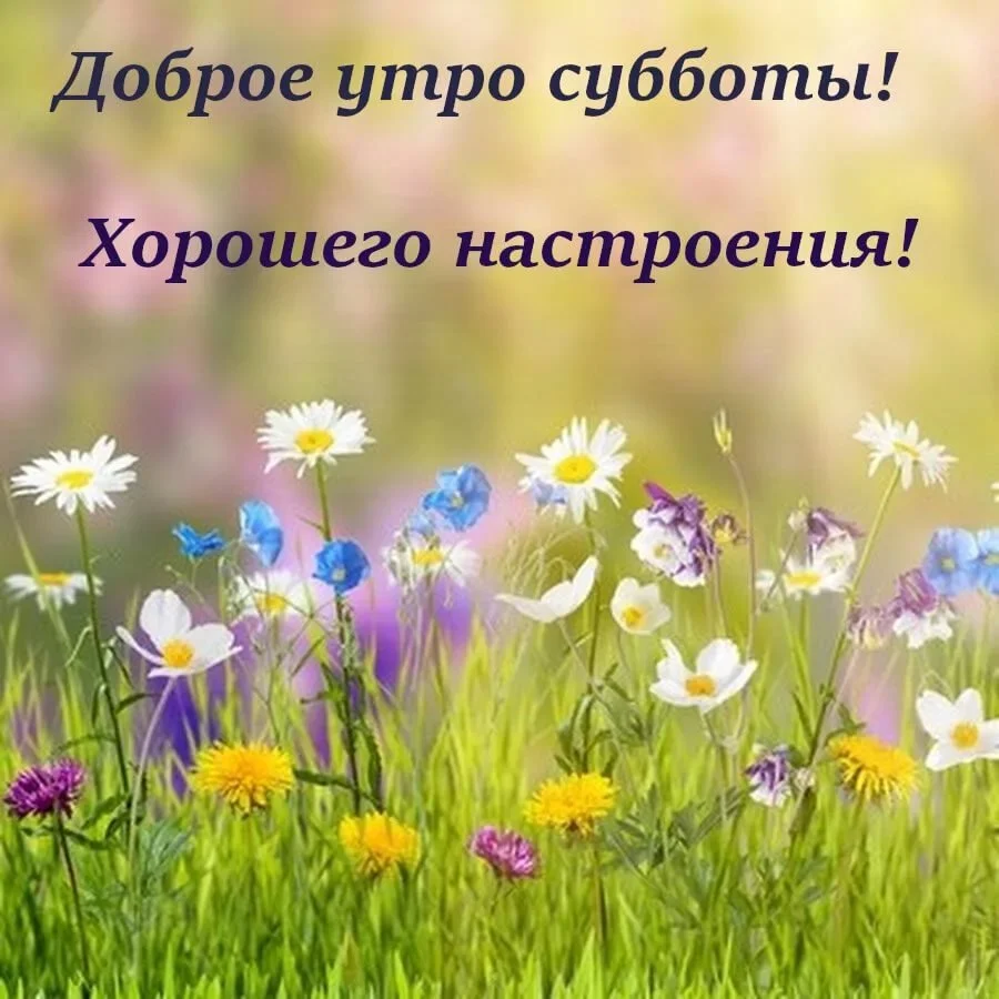 1666149631_8-mykaleidoscope-ru-p-otkritki-subbota-dobroe-utro-pinterest-8.webp