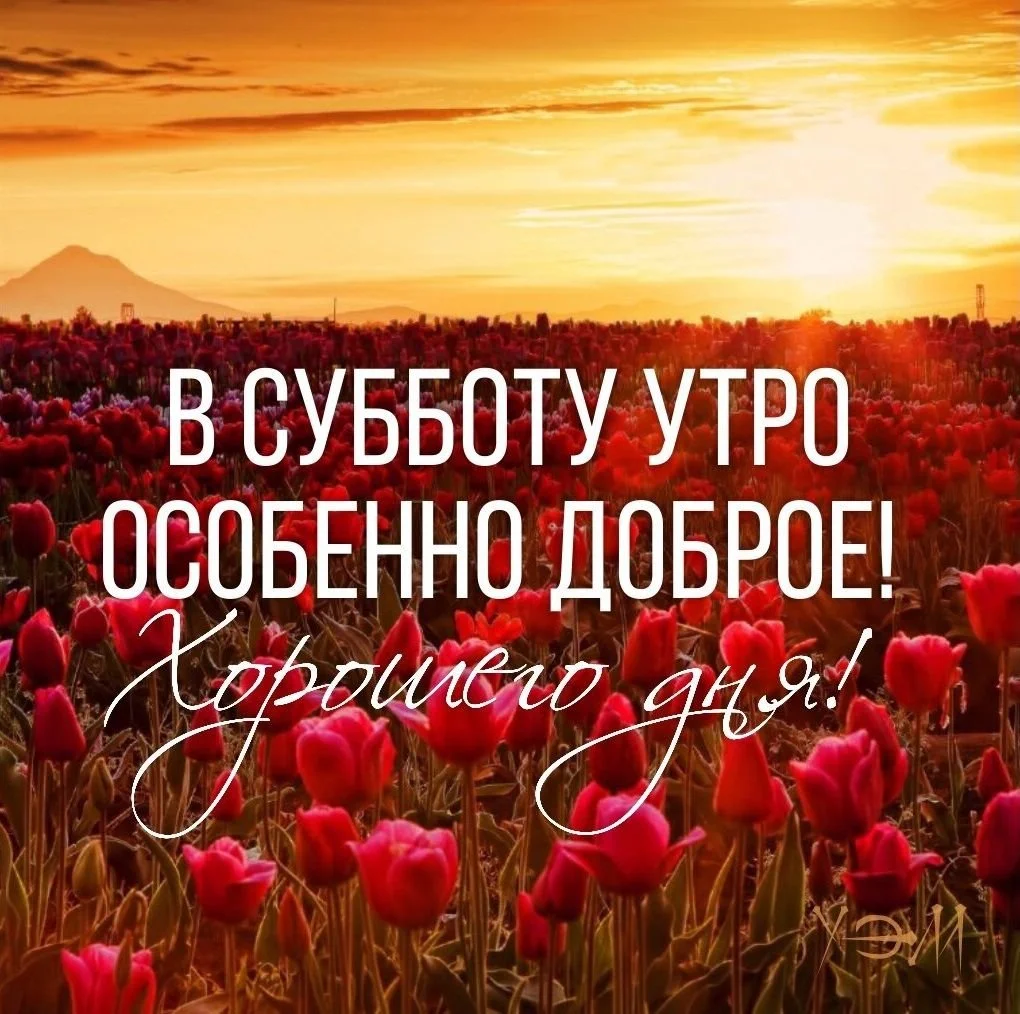 1666221302_8-mykaleidoscope-ru-p-otkritki-subbotnego-dobrogo-utra-vkontakte-8 (1).webp