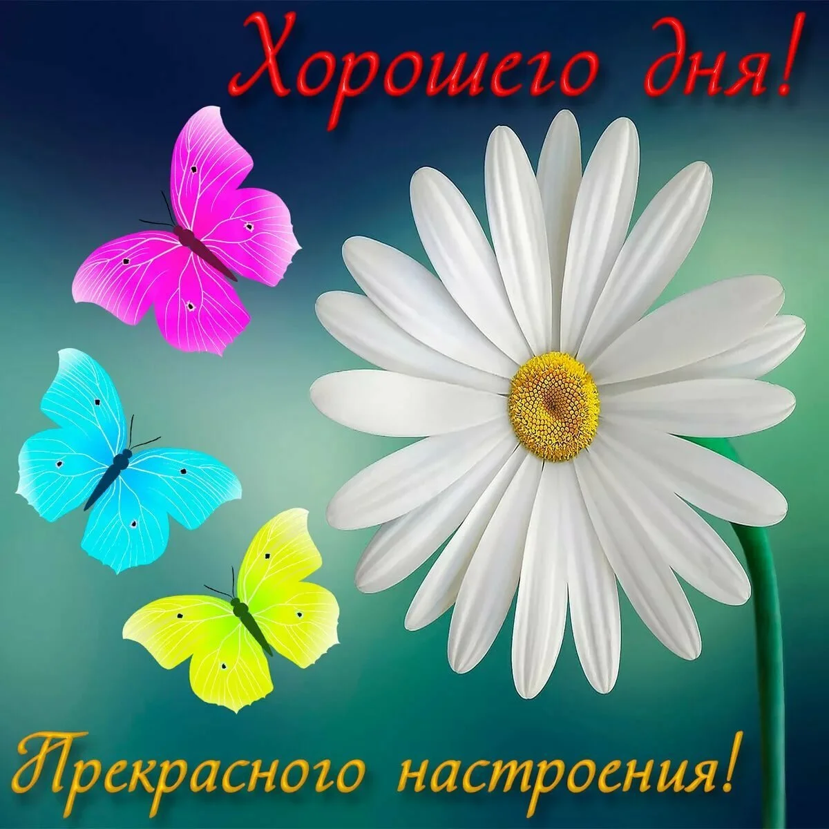 1666237287_27-mykaleidoscope-ru-p-otkritki-s-otlichnim-dnem-krasivo-27.webp