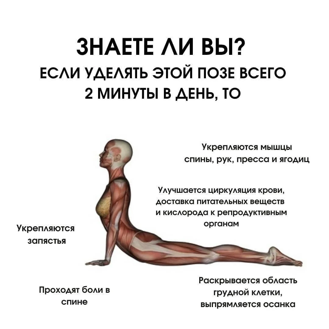 1667506108_2-sportishka-com-p-yoga-sobaka-mordoi-vverkh-pinterest-2.webp