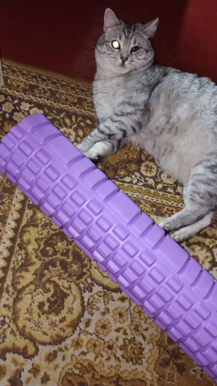 1674278773709.png 1674278773709.png