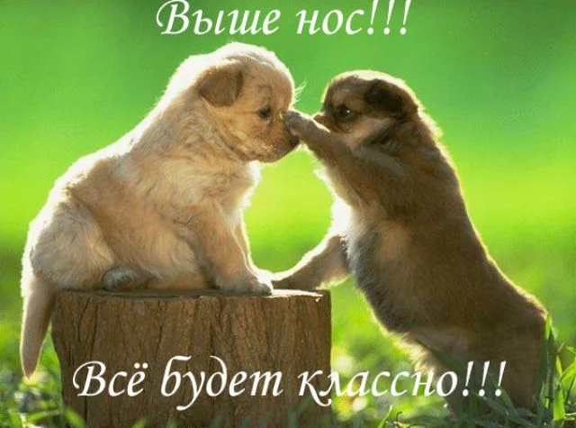 16753535.m.webp