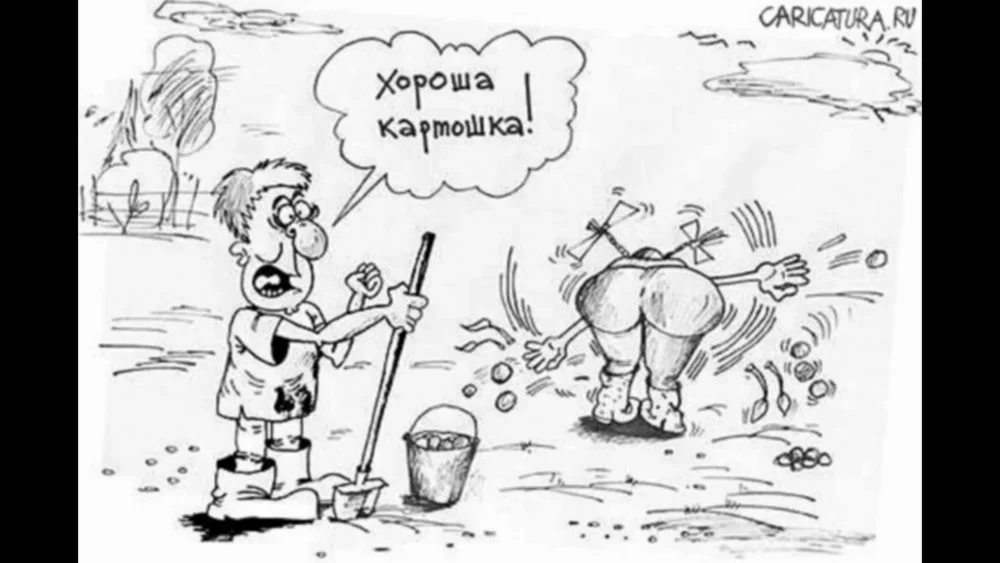 1675369133_www-funnyart-club-p-prikoli-pro-kopku-kartoshki-prikoli-8.webp