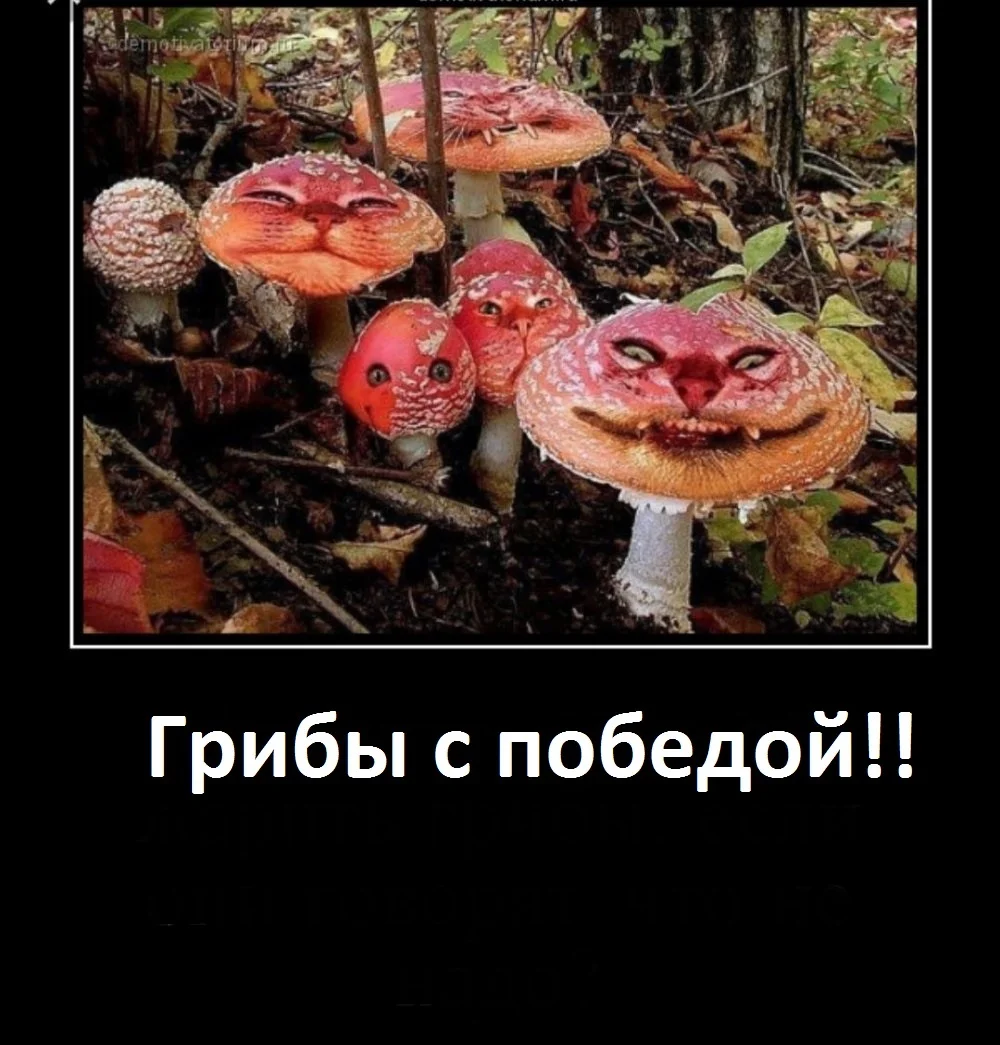 1675542602_www-funnyart-club-p-smeshnie-gribi-smeshno-43.webp