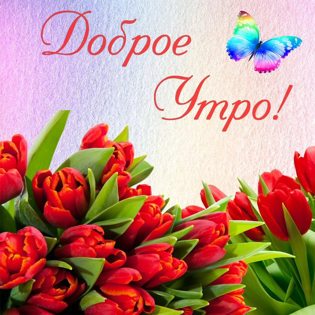 1676650411_bronk-club-p-dobroe-utro-otkritki-tyulpani-vkontakte-1.webp