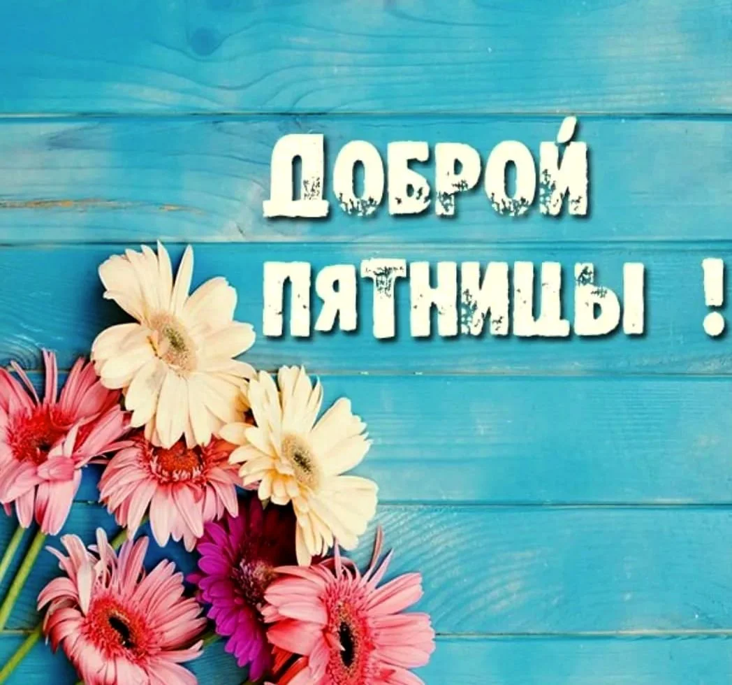 1683877659_papik-pro-p-otkritki-s-dobrim-utrom-pyatnitsi-prikolni-49.webp