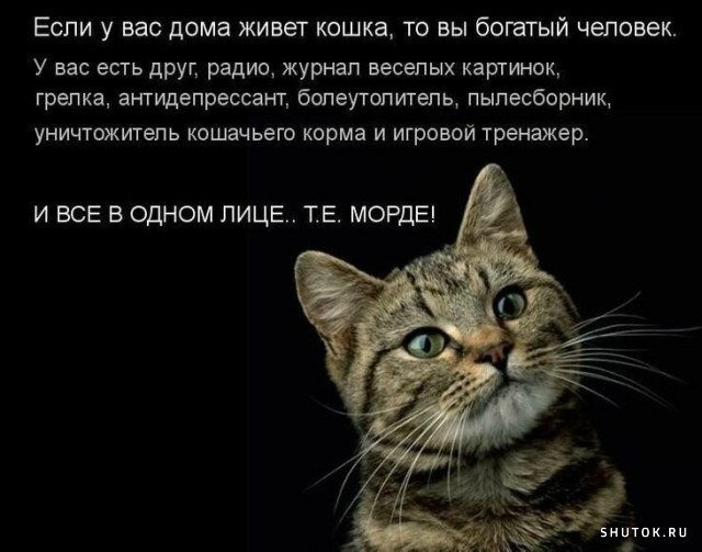 1686768475_shutok.ru.18128280.jpg