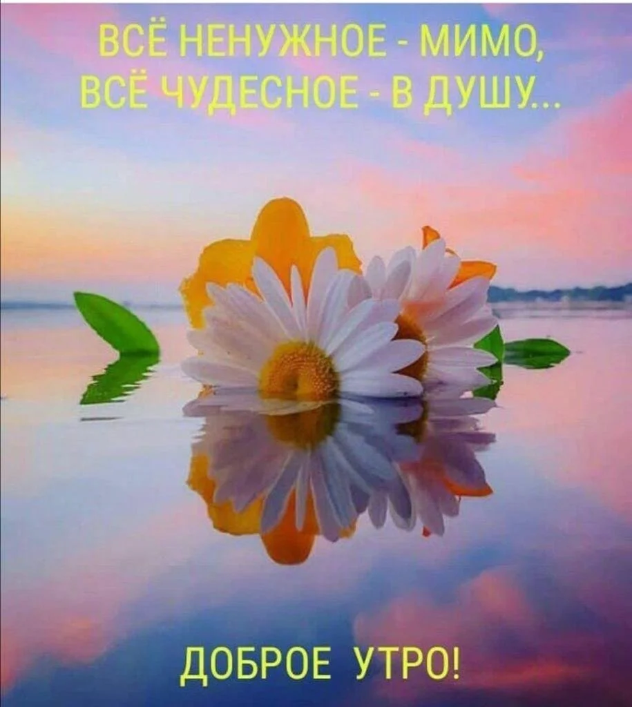 1686961511_polinka-top-p-dobroe-utro-ot-dushi-kartinki-krasivo-1.webp