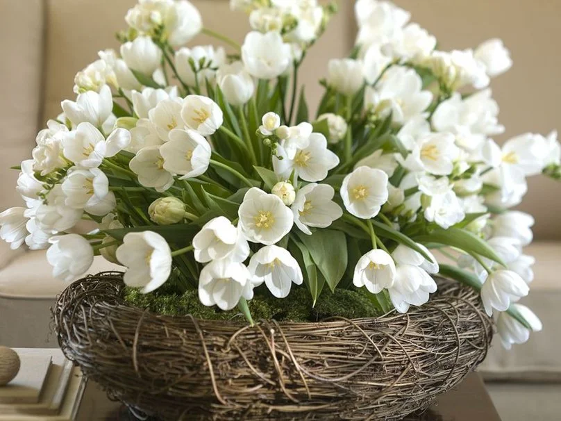 168727851-576704__white-flowers_p[1].webp