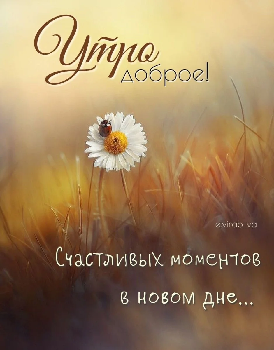 1693502753_havio-club-p-otkritki-s-dobrim-utrom-uyutnie-vkontakte-25.webp