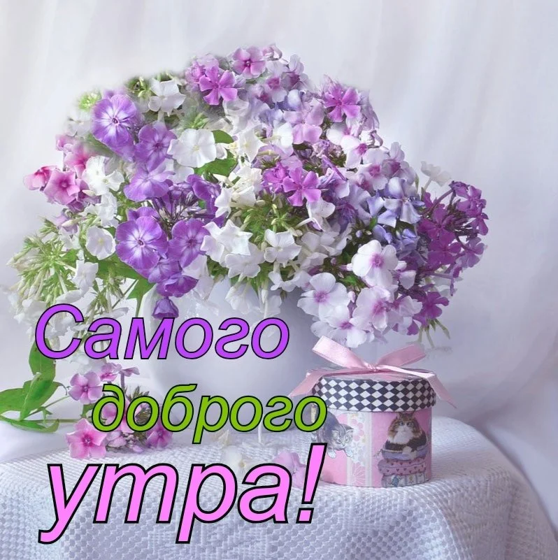 1695894583_gas-kvas-com-p-chasto-peresilaemie-otkritki-s-dobrim-utro-49.webp