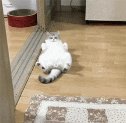 17.04.13- на трени.gif