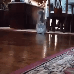 17.04.19- приора.gif