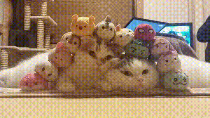 17.04.20- грустно.gif