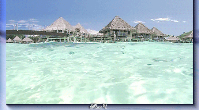 17.04.23- мальдивы.gif