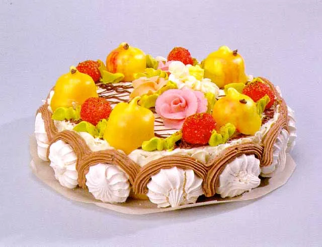 17.webp