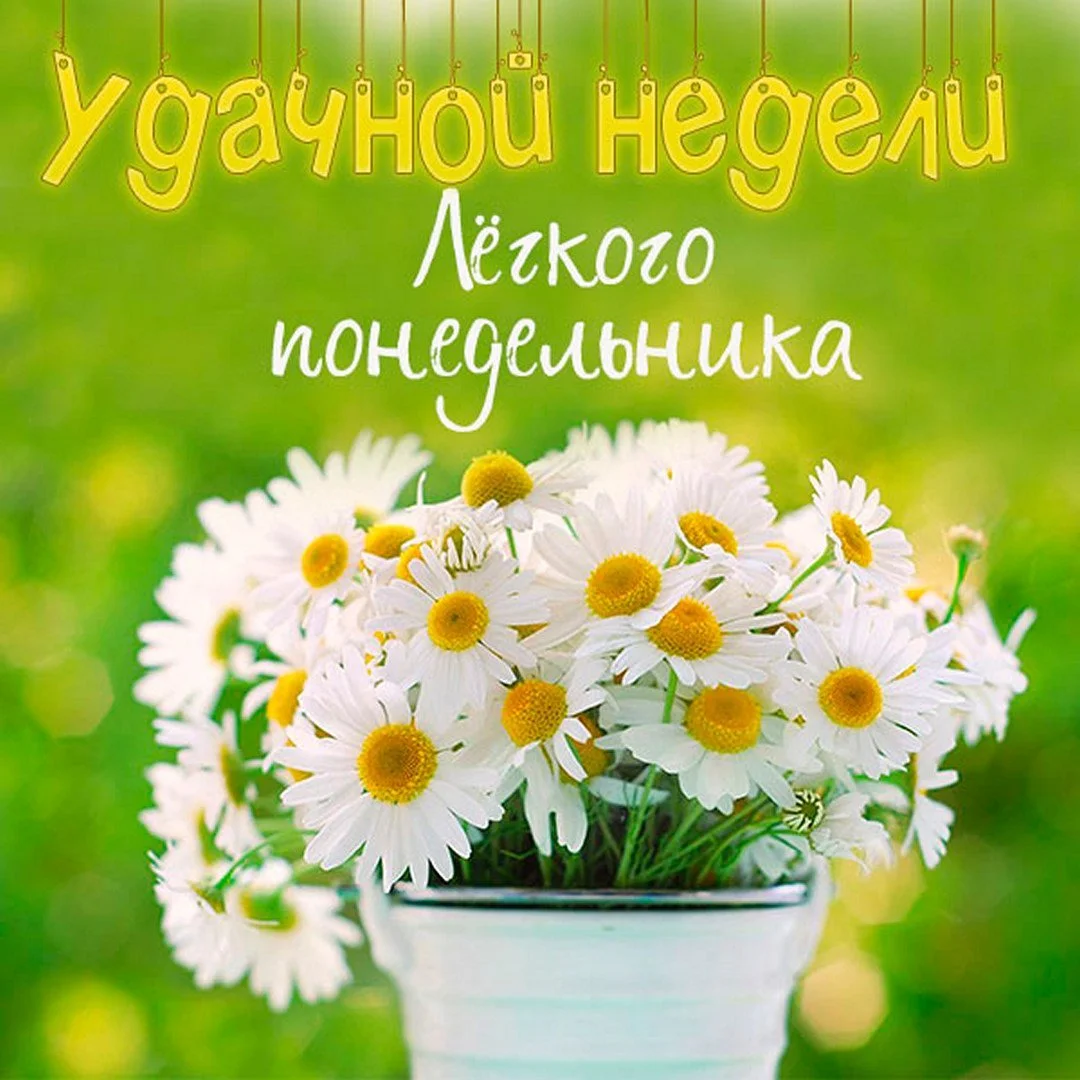 1703024493_mur-mur-top-p-otlichnogo-ponedelnika-i-khoroshego-nastro-51.webp