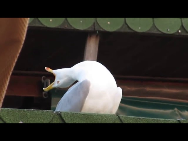 1708019130287.png