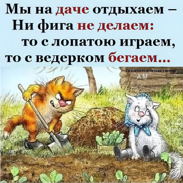 1717486517326.jpeg