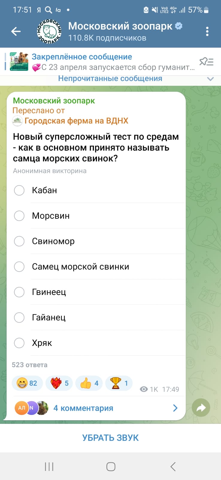 1717599137265.jpeg
