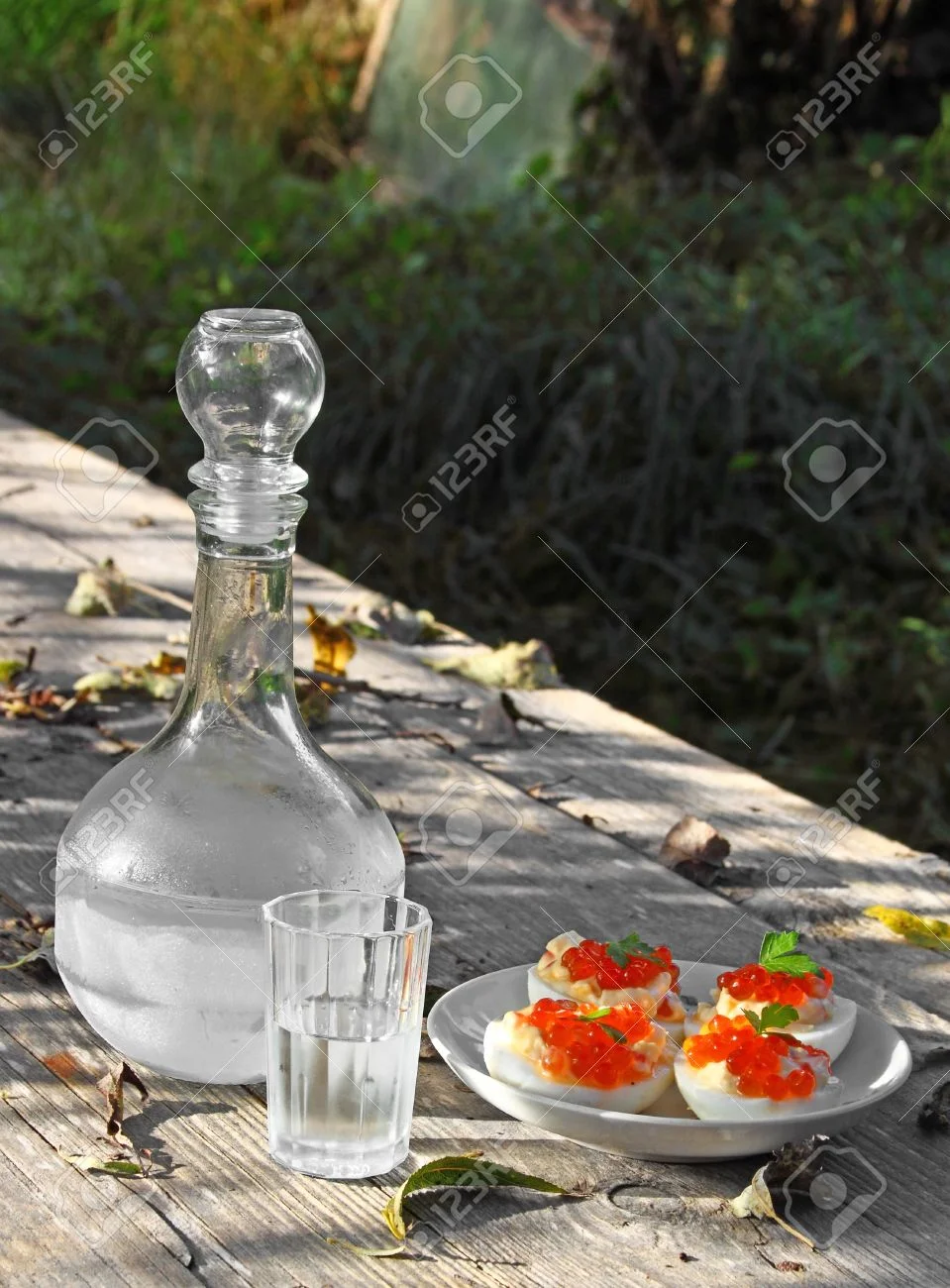 17238112-Misted-decanter-of-vodka-with-half-full-glass-and-boiled-eggs--Stock-Photo.webp