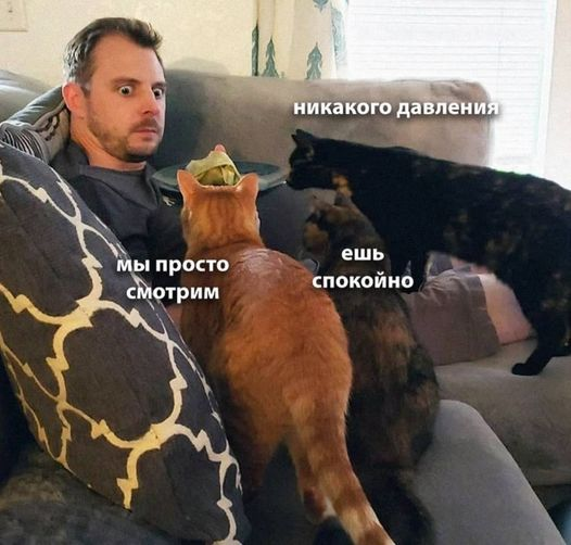 1728551209404.png