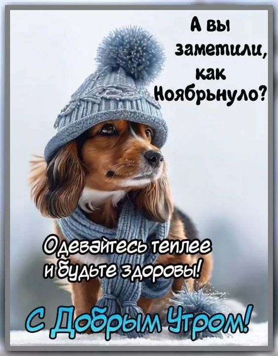 1730784798384.png