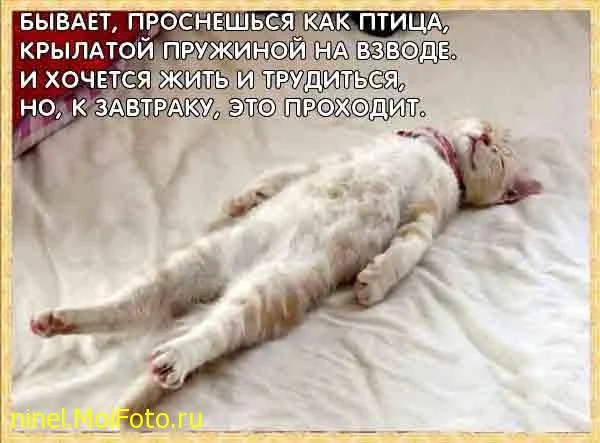 1738327b71b8.webp