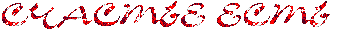 1738811459056.png