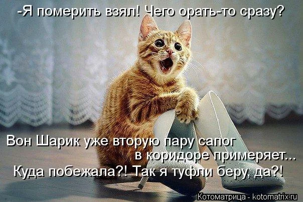 173e7a412659.webp