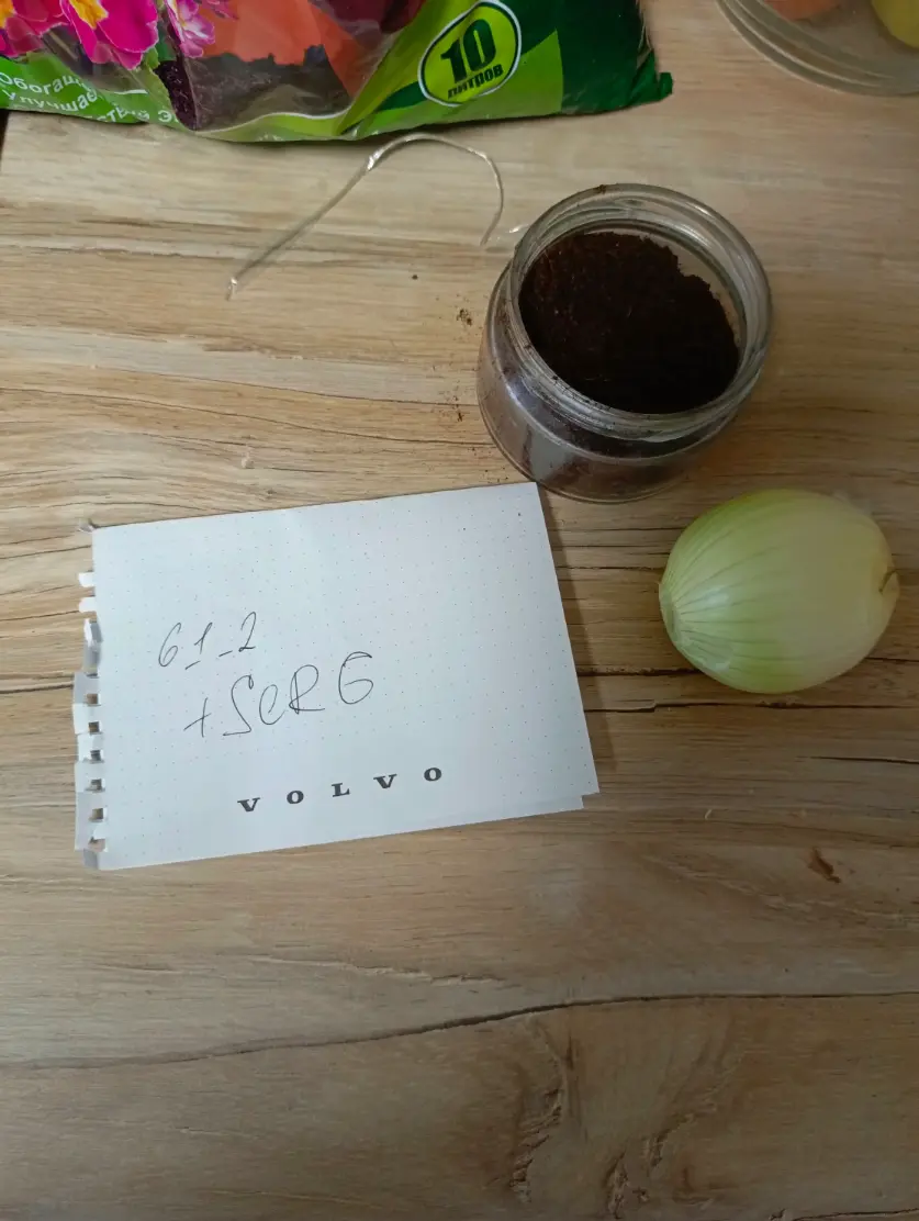1741785971251.webp