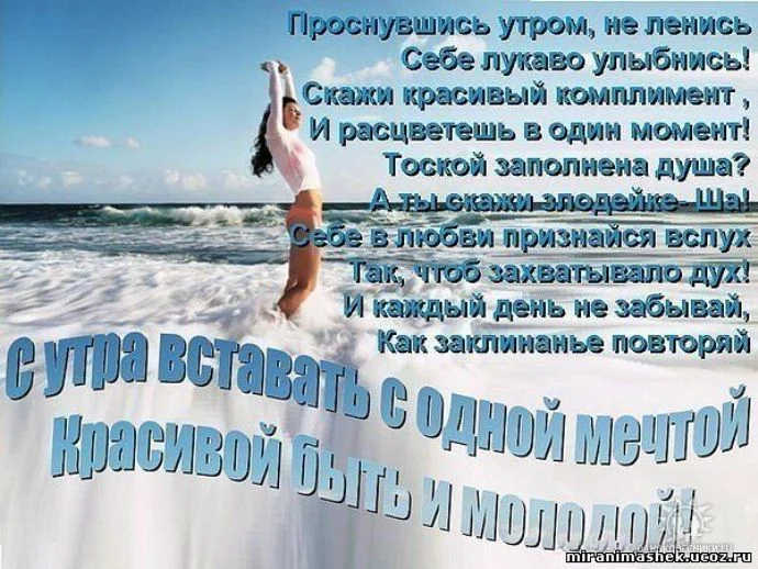 1742972.webp
