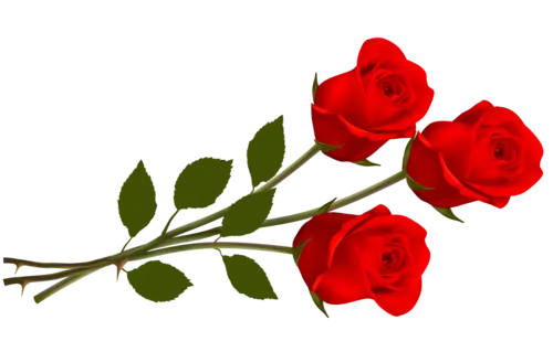 1747231614029.webp