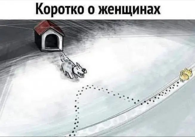 1747727490863.webp