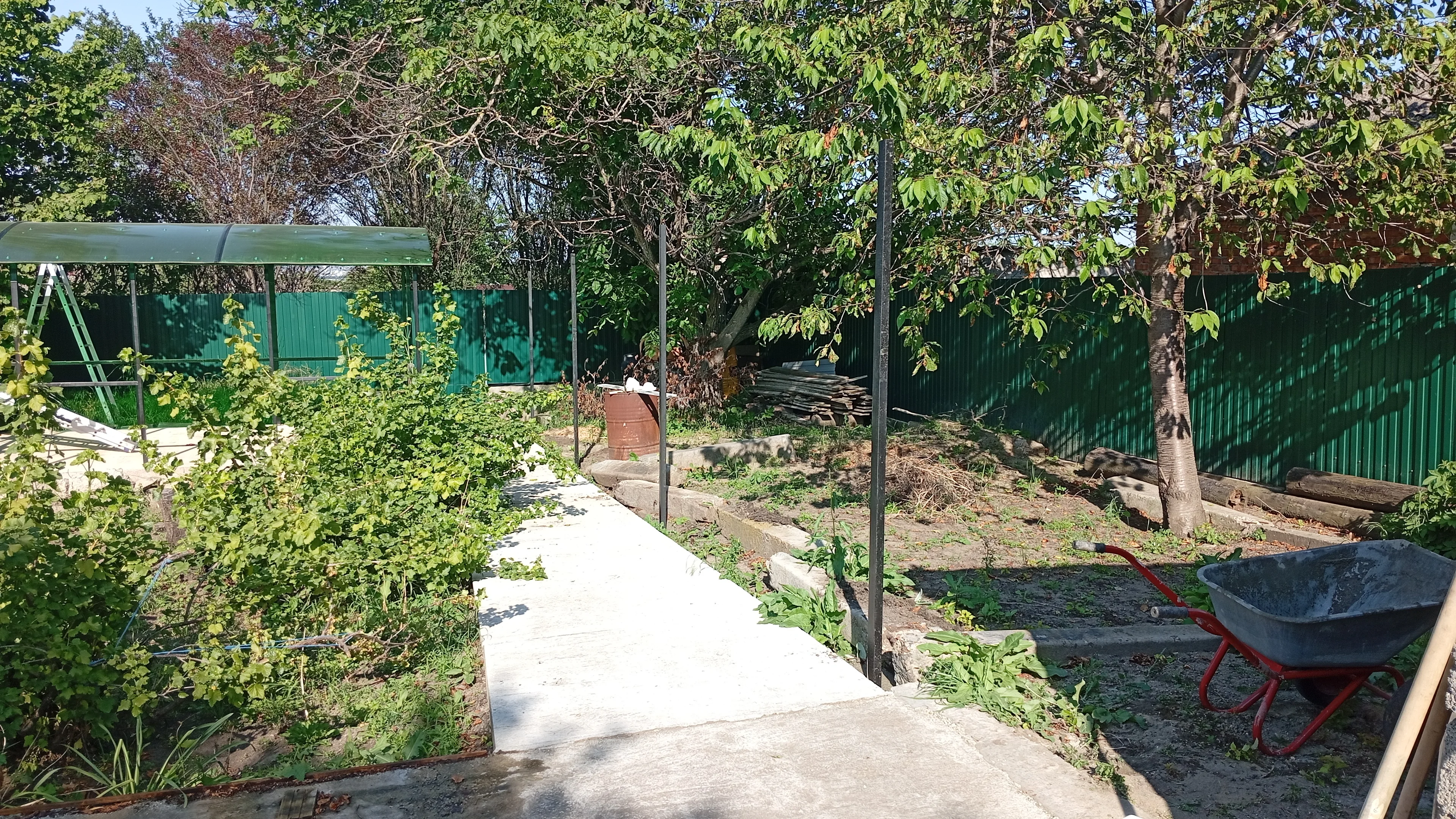 1749398262598 (1).webp