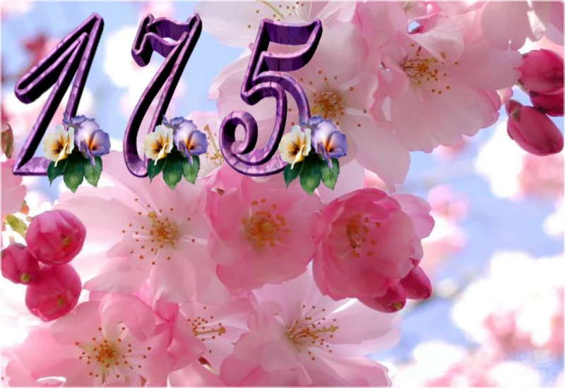 175 сакура.webp