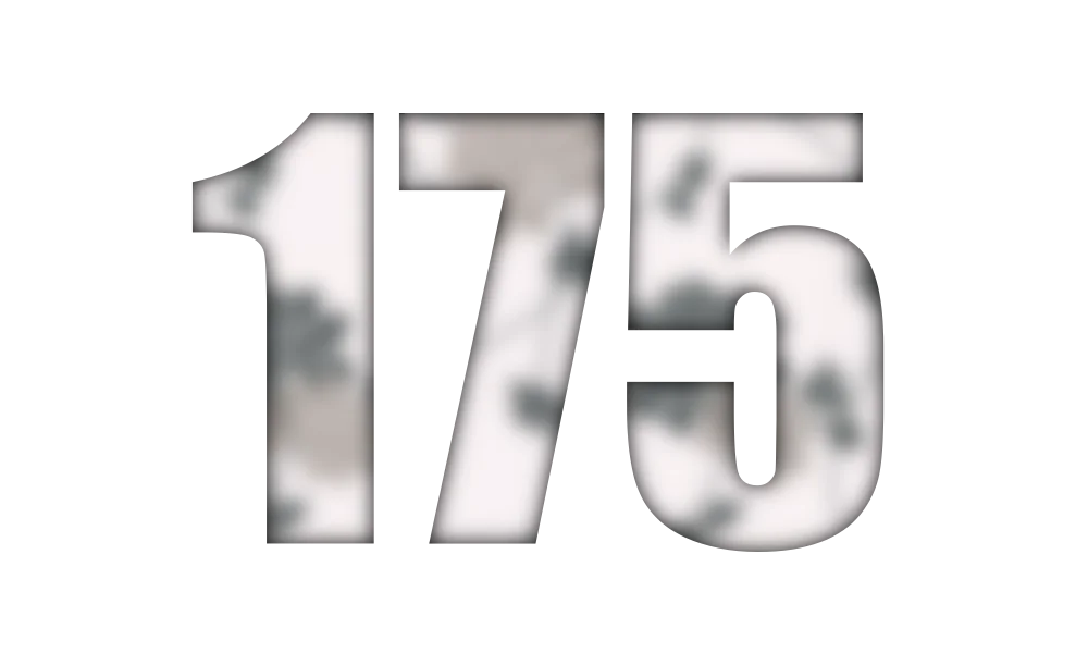 175.webp