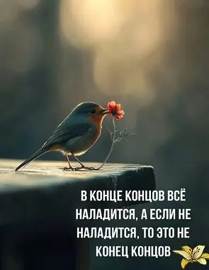 1750219630343.webp
