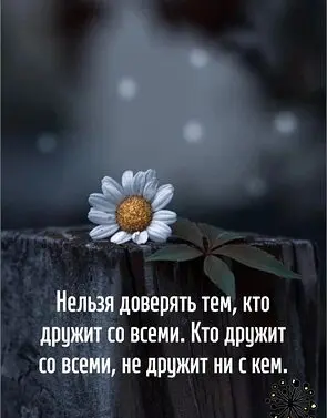 1750219653854.webp