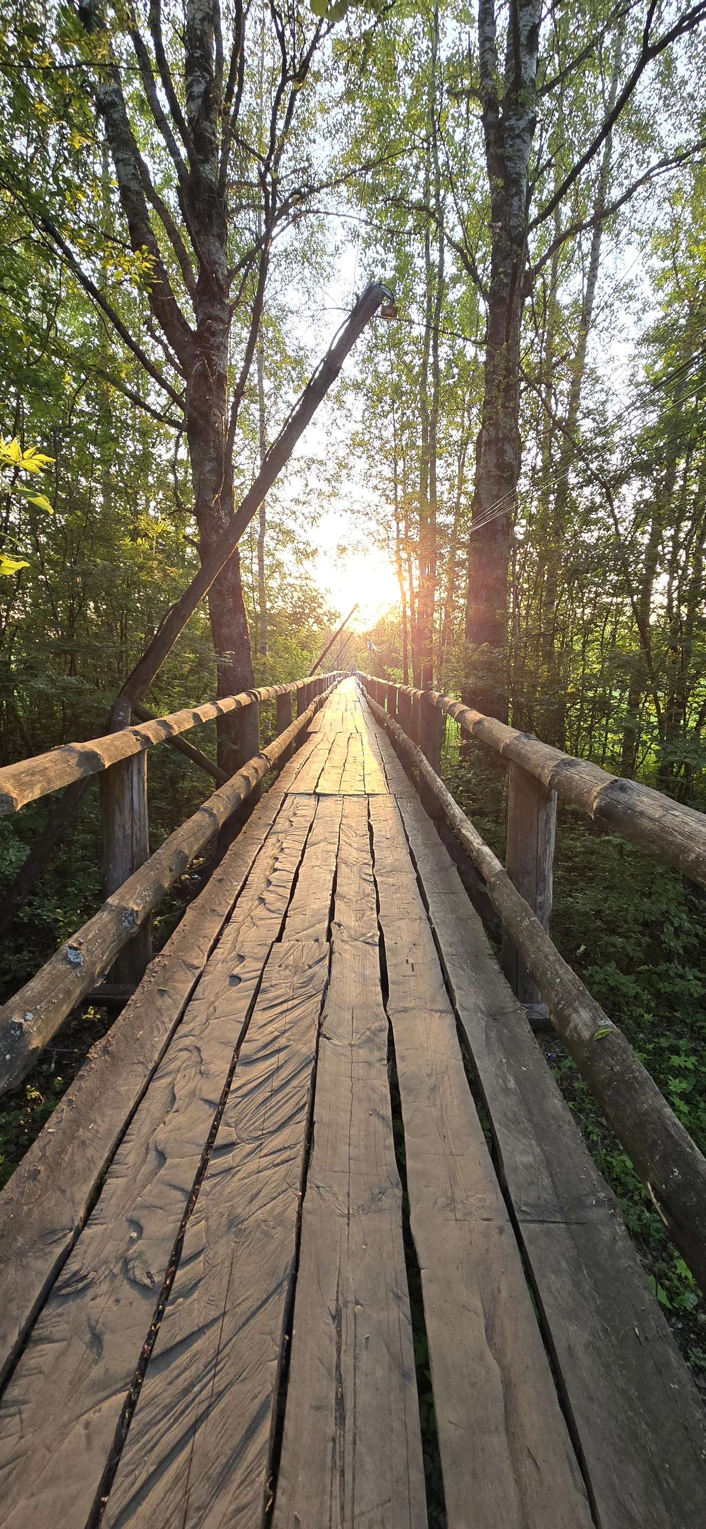 1750743140016-webp.2190252