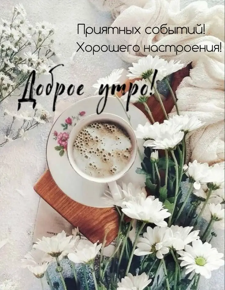 1750913212068.webp