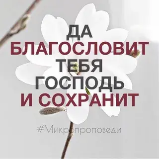 1750917646942.webp