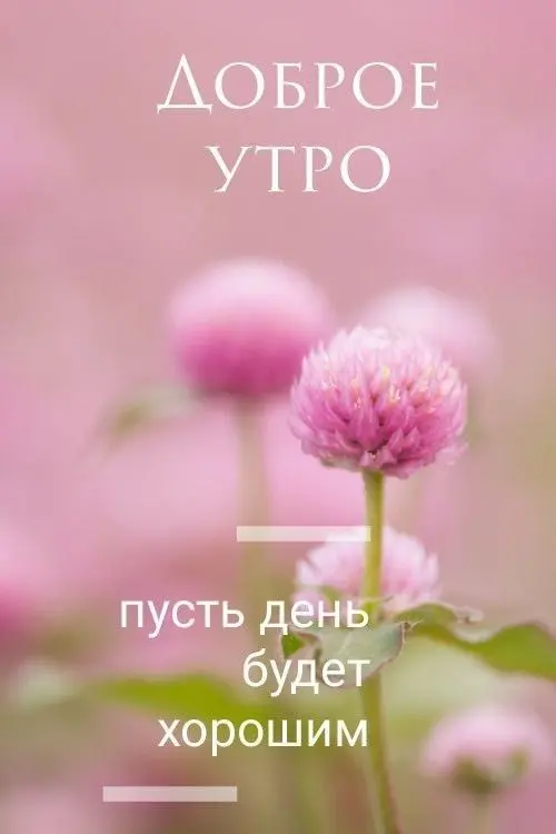 1750999270271.webp