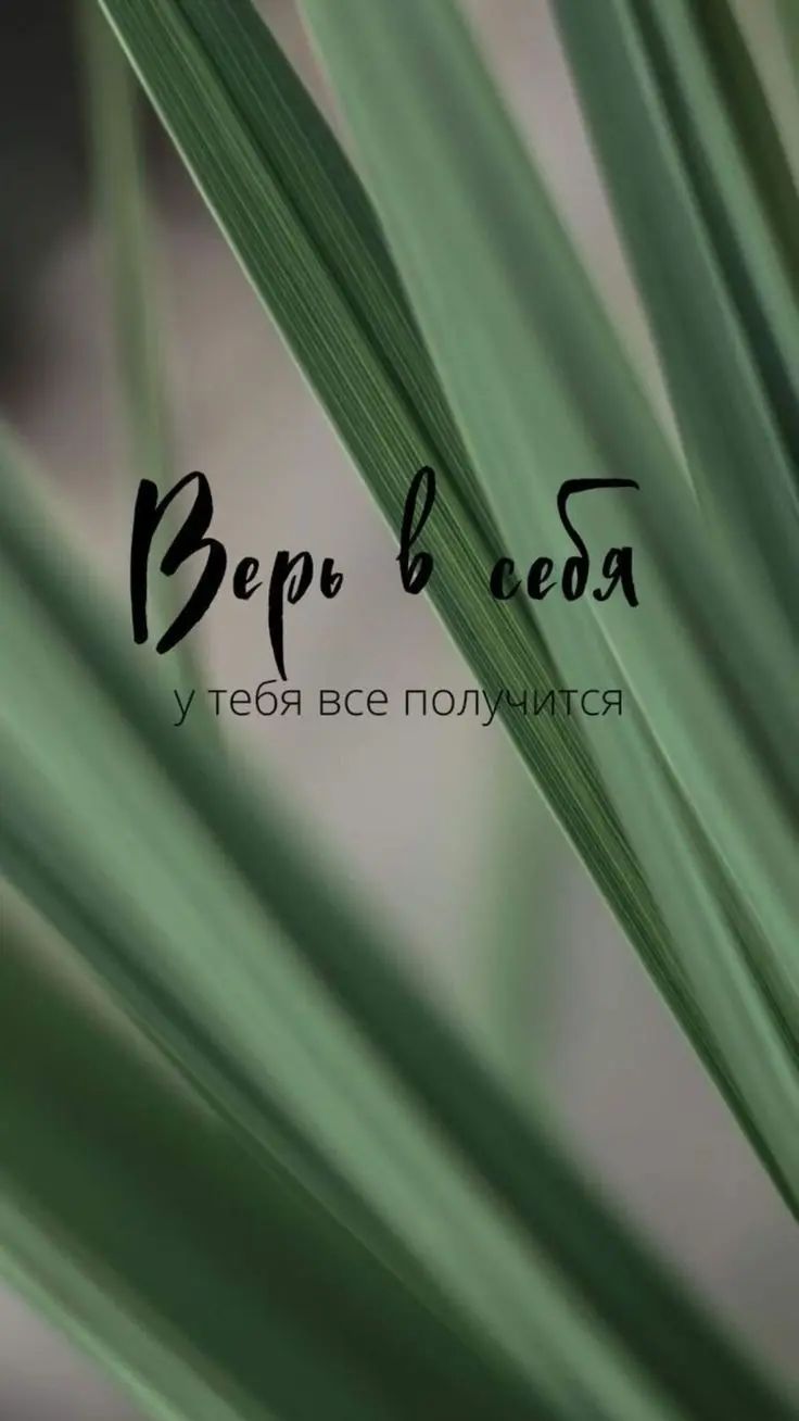 1751873295591.webp