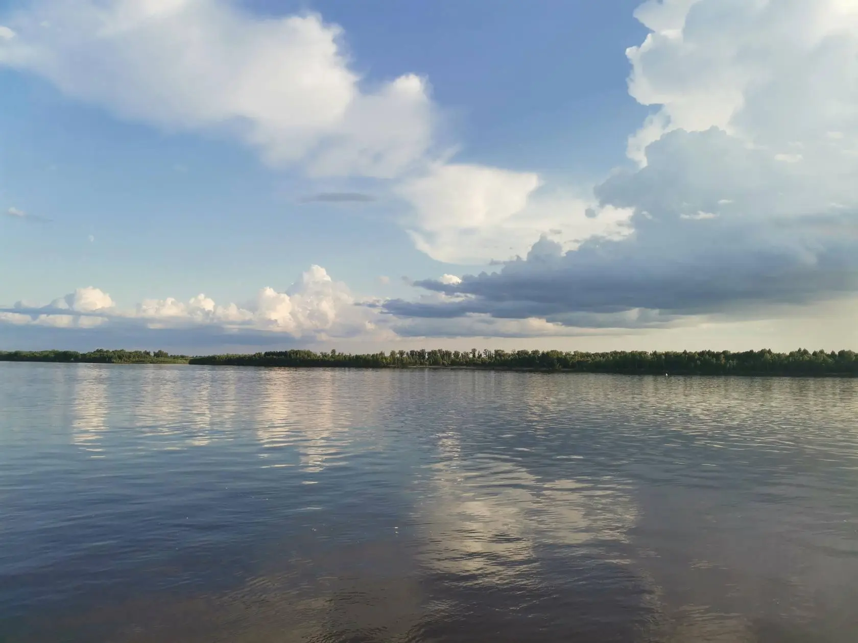 1753592706223.webp