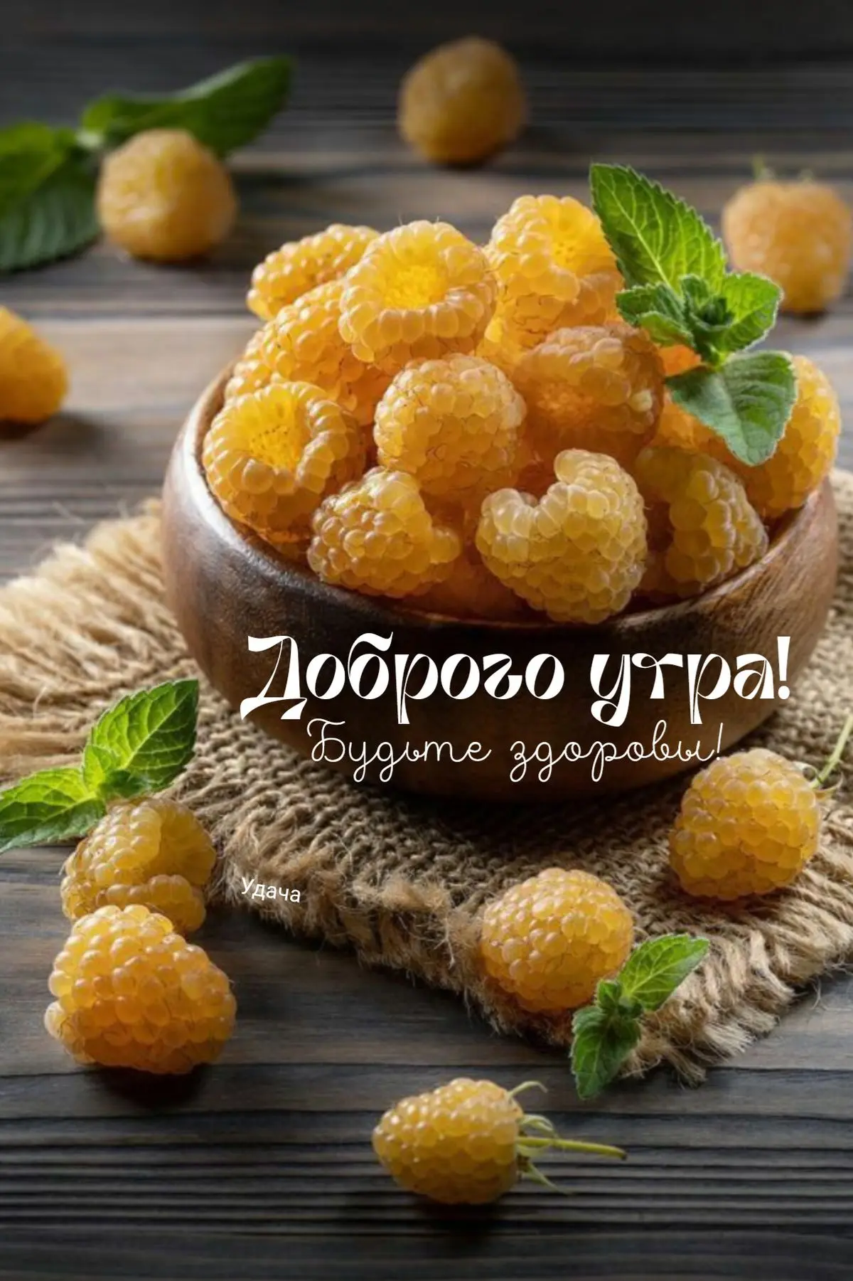 1753677150551.webp