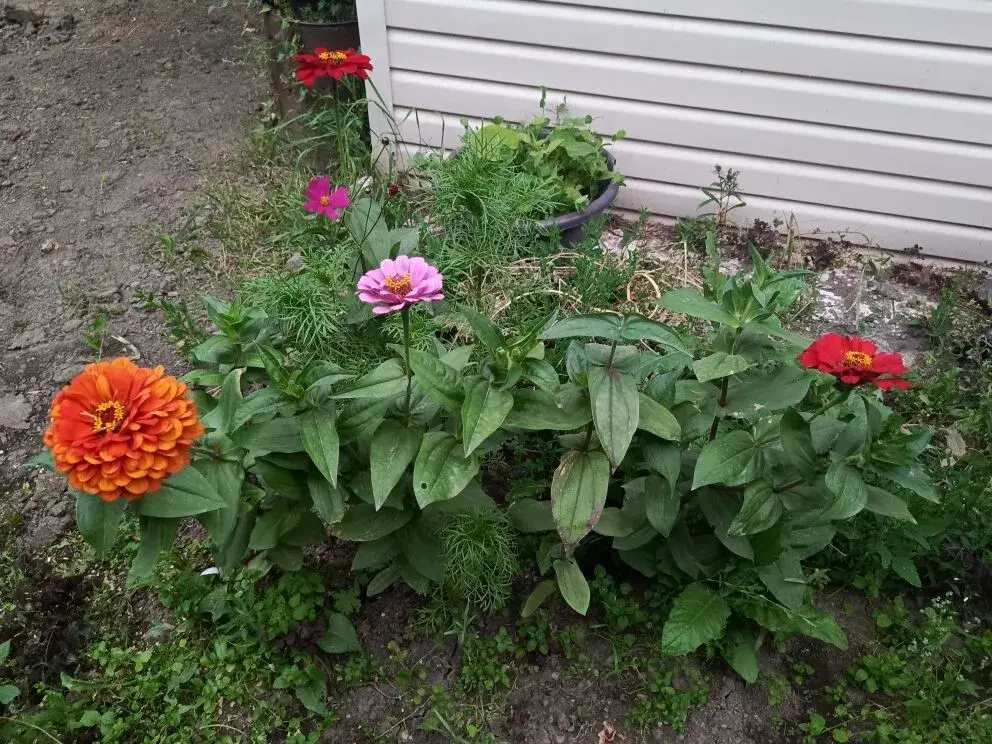 1753711192574.webp