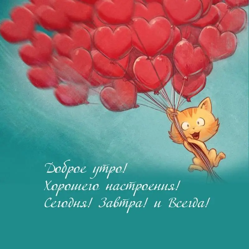 1753851735463.webp